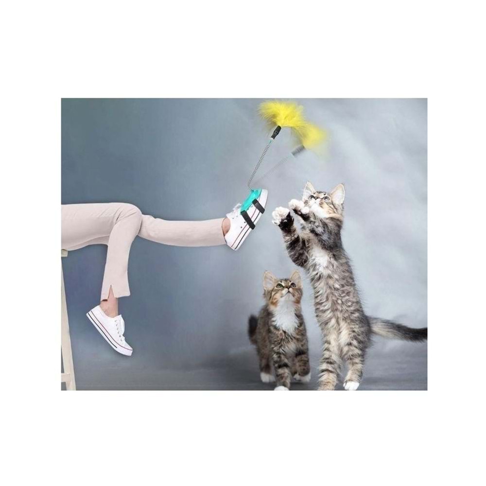 PTR KEDİ AYAK OLTASI