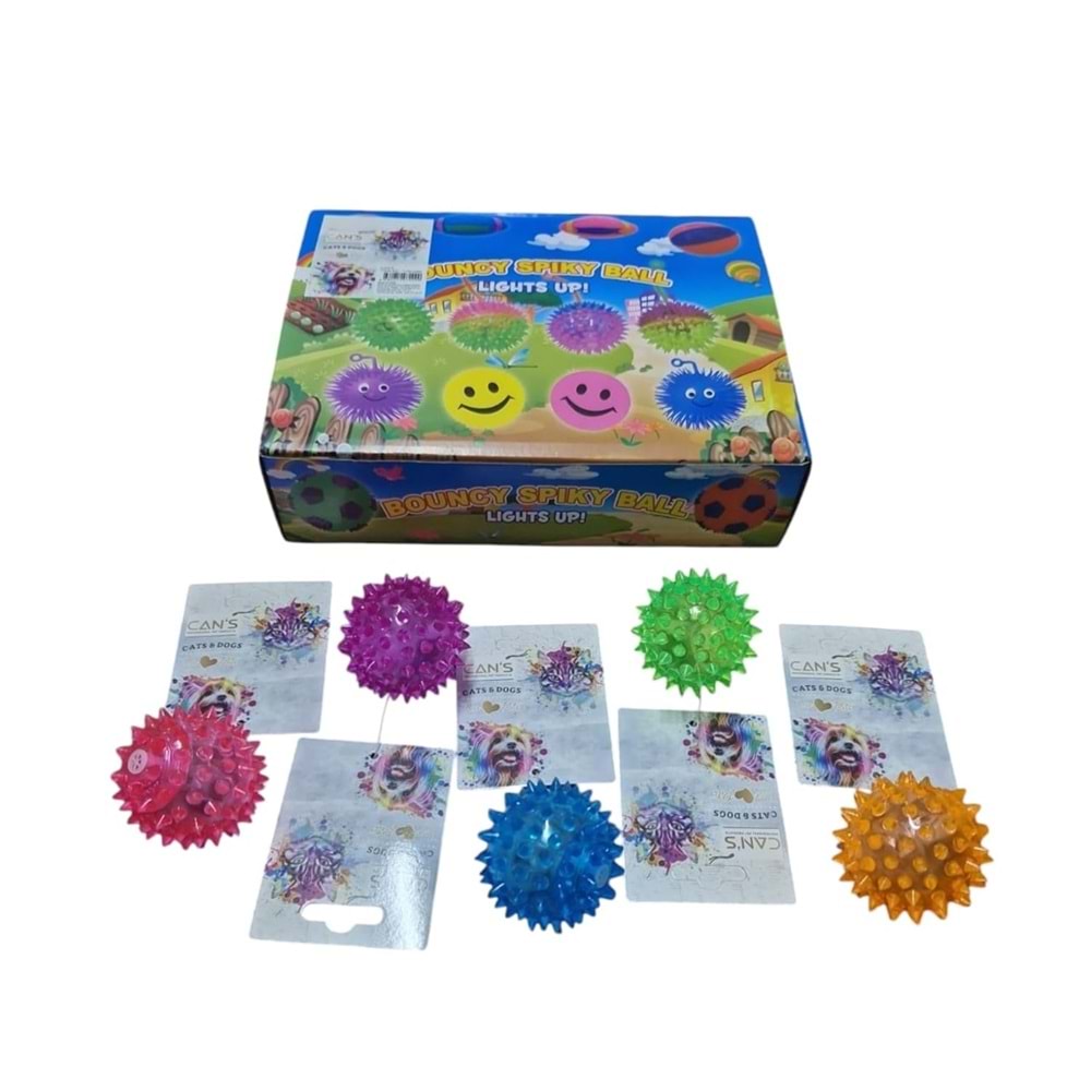 TJWJ286 Dikenli Top Oyuncak1