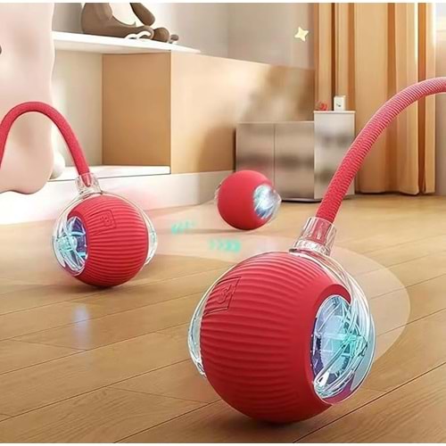 HG-3071 HAREKETLİ HALATLI TOP