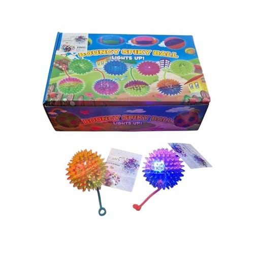 TJWJ293 Dikenli Top Oyuncak2