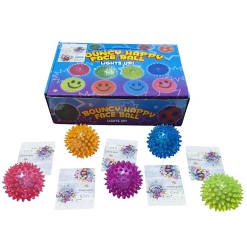 TJWJ287 Dikenli Top Oyuncak2