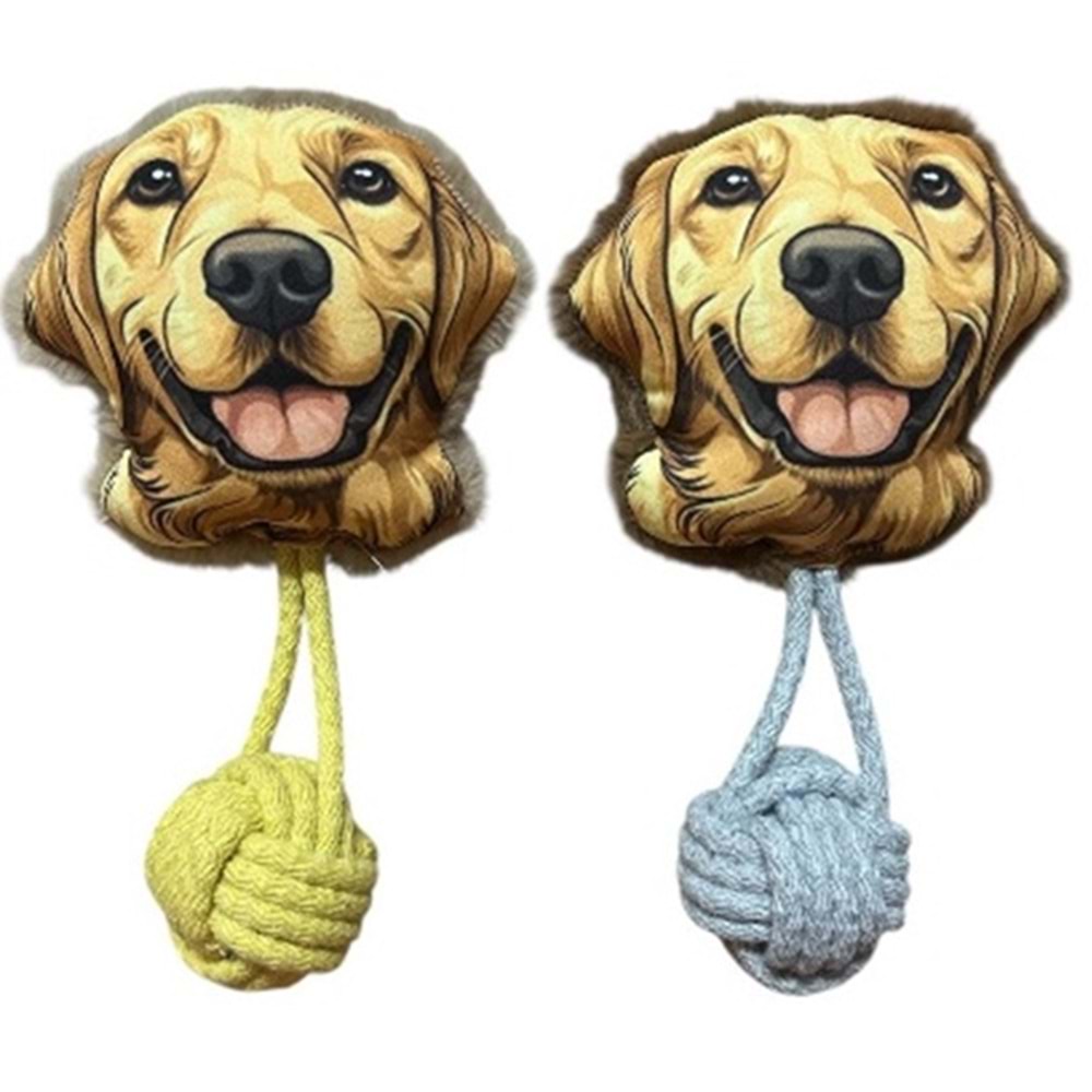 DIAMONDS RD1060 GOLDEN YÜZ DIG OYUNCAK